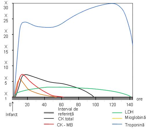 Creatinkinaza MB - Synevo