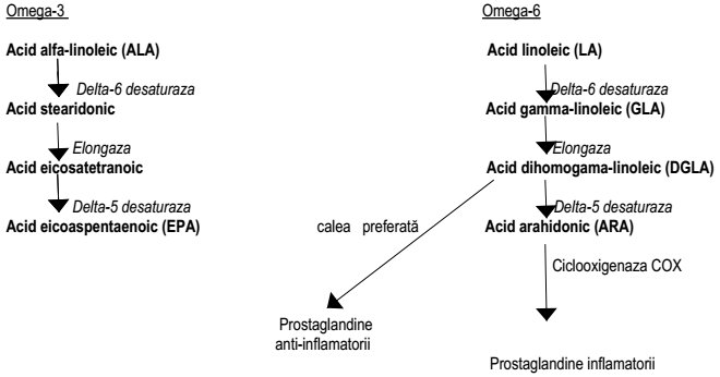 Acizi grași omega 3 și omega 6 fig8.8.1